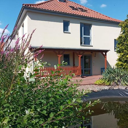 Ferienwohnung Toelle Bad Rehburg エクステリア 写真