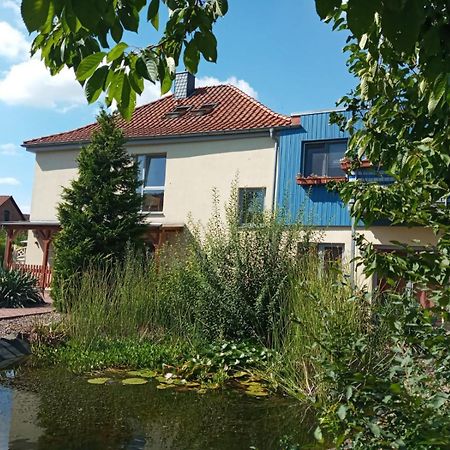 Ferienwohnung Toelle Bad Rehburg エクステリア 写真