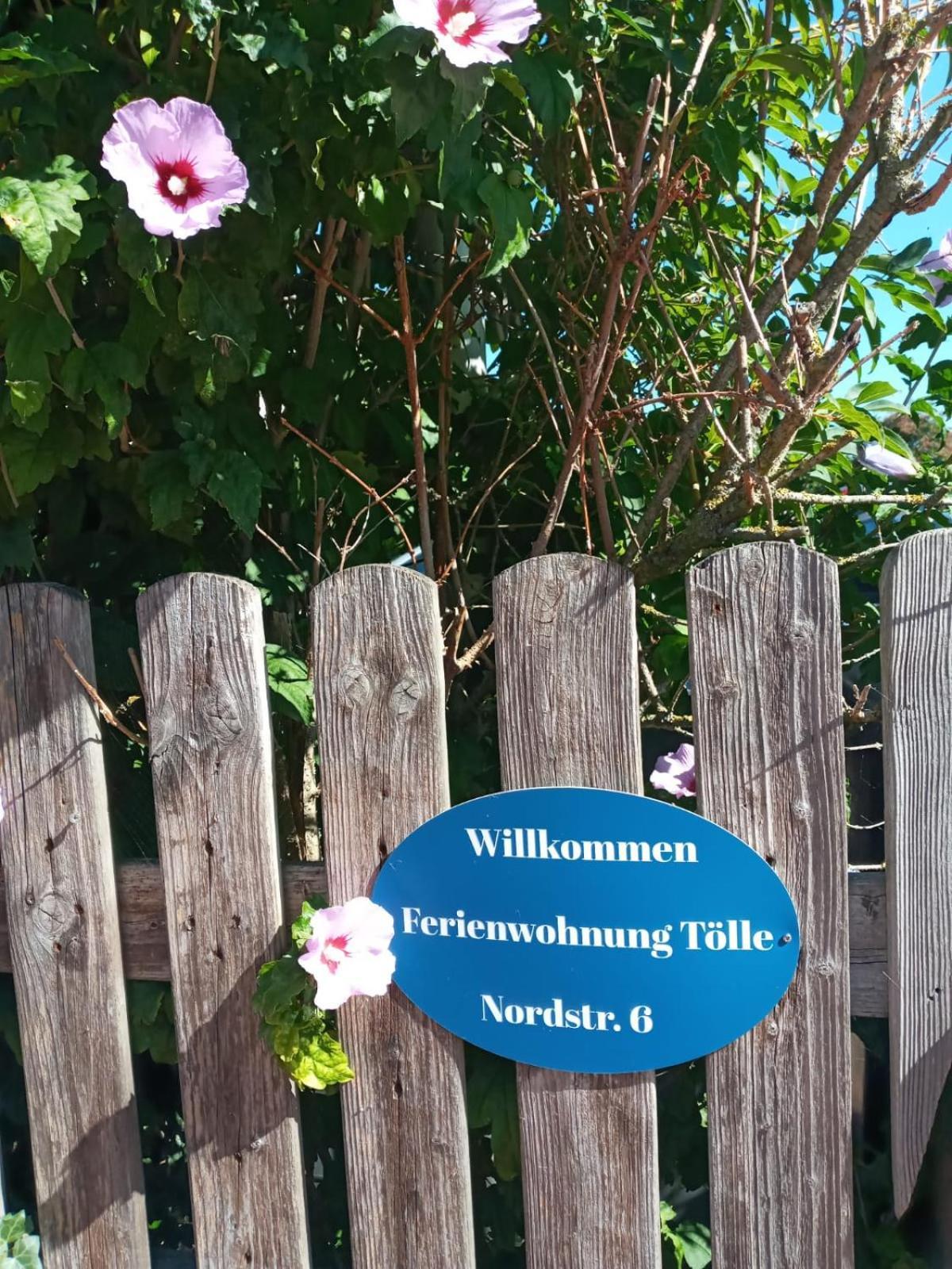 Ferienwohnung Toelle Bad Rehburg エクステリア 写真
